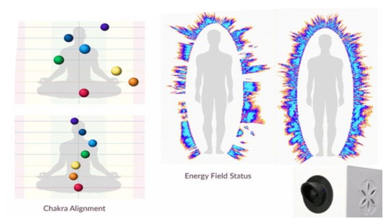 GDV health scan
